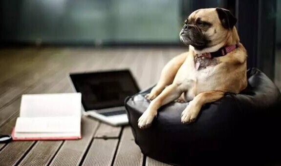 一個(gè)互聯(lián)網(wǎng)公司“產(chǎn)品狗”把餐廳做成了“微軟”！|餐飲界