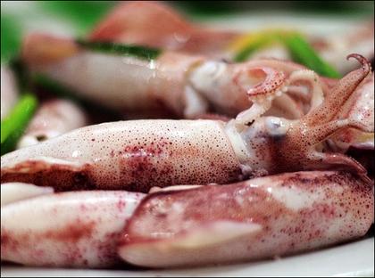 挑選營(yíng)養(yǎng)豐富的墨魚(yú)