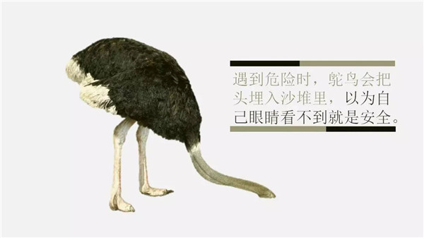 這6個詞，你誤解了任何一個，都能讓你錯過“風口”