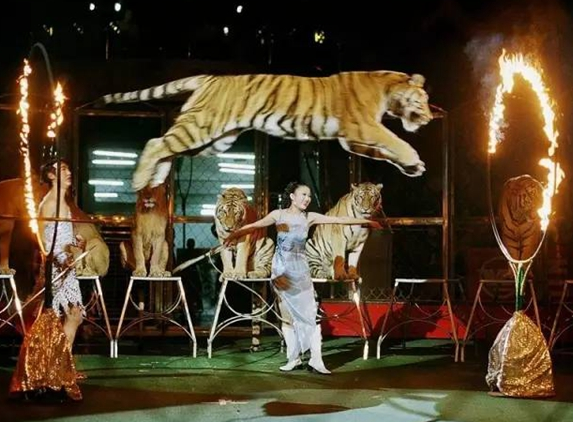 90后開(kāi)農(nóng)家院，也能年入過(guò)百萬(wàn)|餐飲界