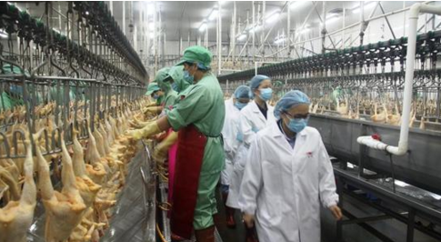 8000塊起家，如今靠養(yǎng)殖做到2000億，足可比肩華為卻鮮有人知|餐飲界