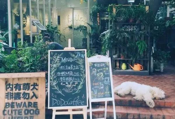 如何開家能賺錢的咖啡館？過來人是這樣算帳的...|餐飲界