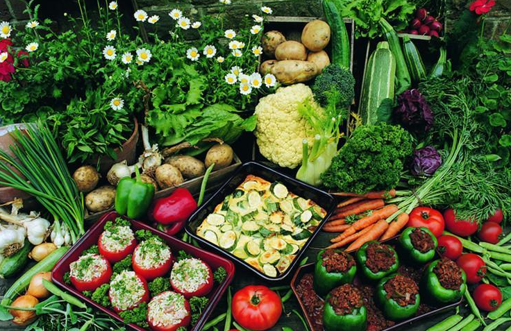 把生命浪費在美好上，體驗不好怎么行？（上）