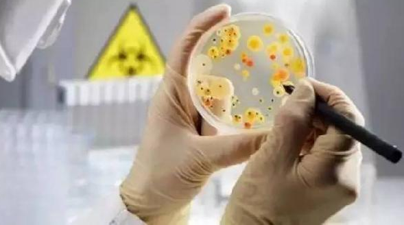 食物中毒一年“殺人”過百，天漸熱請(qǐng)注意餐廳“消毒”