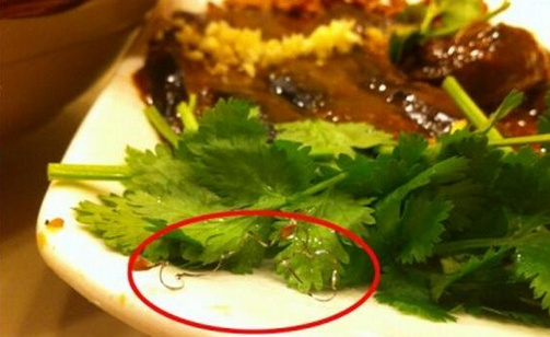 食客在餐廳吃到鋼絲，餐廳被判賠償食客206萬(wàn)，并罰款686萬(wàn)