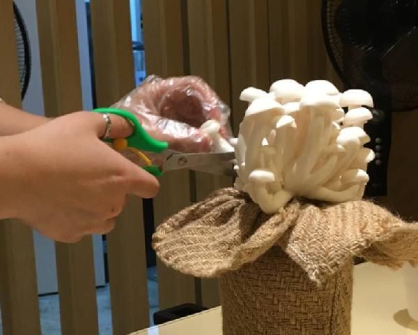 餐飲三巨頭的“爆品”玄機(jī)，其實(shí)就是4個(gè)字|餐飲界