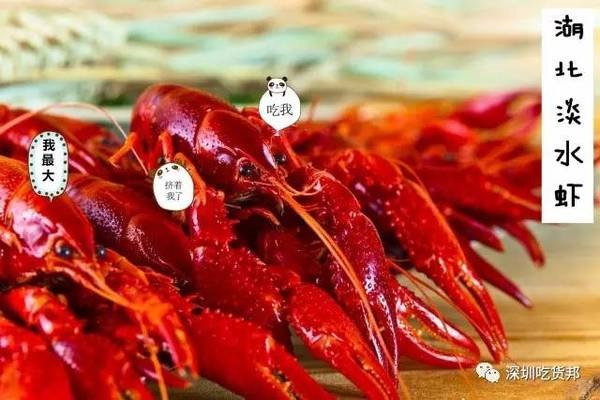 活捉一家高逼格音樂餐吧！小龍蝦+音樂+經(jīng)典湘菜|餐飲界