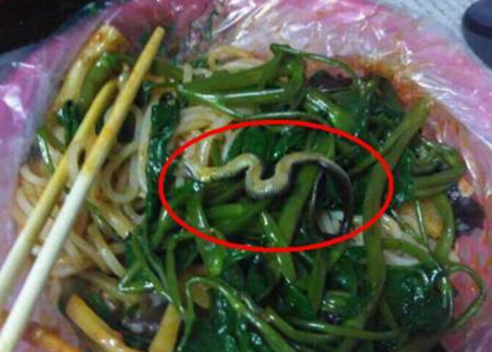 震驚！廣西大學(xué)一螺螄粉店竟然吃出一條蛇！真相是？