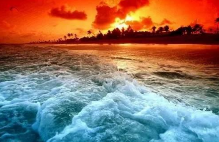 外賣創(chuàng)業(yè)江湖：早餐和午餐外賣為什么冰火兩重天？