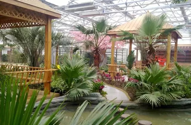 開三家死兩家，生態(tài)餐廳的風口說是偽命題？