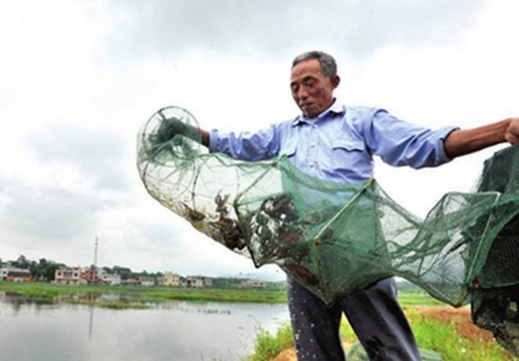 小龍蝦“斷供”是誰(shuí)的“黑手”在操控？