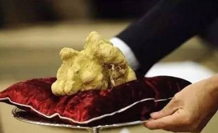 知識庫｜為了得到這種珍稀食材，澳門賭王豪擲33萬美金！