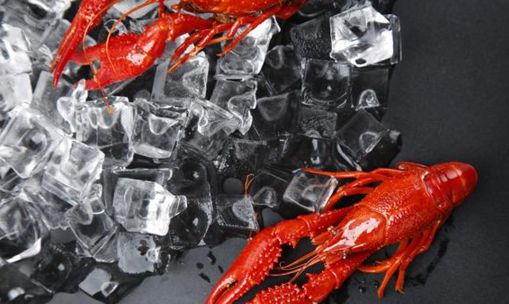 “小龍蝦專業(yè)”你眼饞嗎？