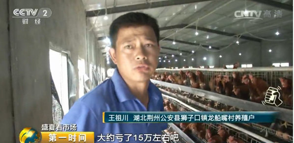 雞蛋價格跌跌不休！最低腰斬一半