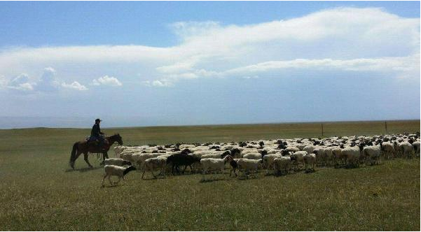 餐飲定位就是品類+客群？錯(cuò)！還要看消費(fèi)場(chǎng)景|餐飲界