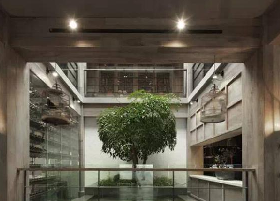 餐廳運用上這些植物裝飾，格調(diào)空間立馬不同