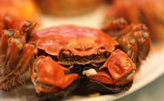 小龍蝦過冬大閘蟹爬上桌，季節(jié)性餐飲如何永保旺季