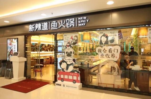 破局傳統(tǒng)營(yíng)銷(xiāo)思維，看新辣道如何跨界&借勢(shì)瘋狂圈粉？ | 案例