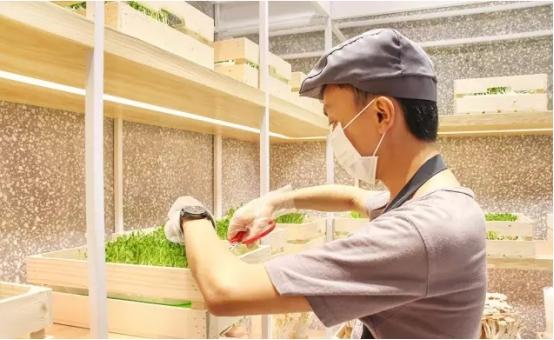 這家麻辣燙把農(nóng)場搬進店里，獲千萬融資|餐飲界