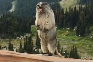 體驗(yàn)3000多家餐廳后發(fā)現(xiàn)，爆品這樣打造最賺錢！