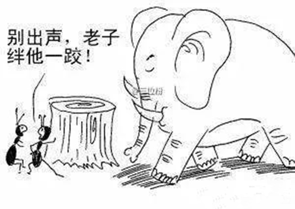 火鍋老板必看：與巴奴共舞的3個戰(zhàn)略機(jī)會！