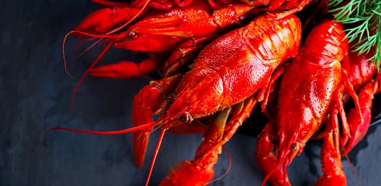 基于營(yíng)養(yǎng)師資源優(yōu)勢(shì)，「瘦蜜」用寶寶餐食制作平臺(tái)為AI健康餐飲做數(shù)據(jù)鋪墊