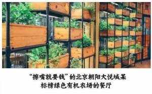 但凡說紙巾要2元的餐廳，我不會去第二次！|餐飲界