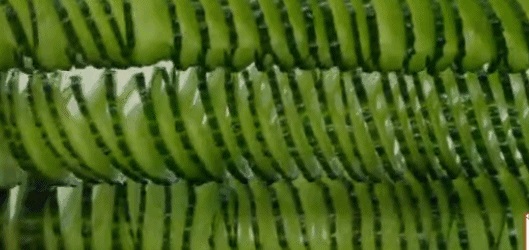 《舌尖3》亮出底牌，餐飲人笑了！