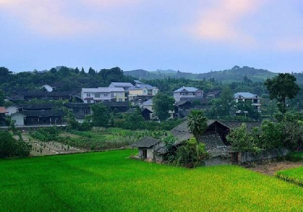 城市水太深，回鄉(xiāng)開餐廳？看完這篇你再做決定……