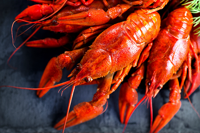 小龍蝦供應(yīng)鏈競(jìng)爭(zhēng)白熱化！餐企混戰(zhàn)何時(shí)休