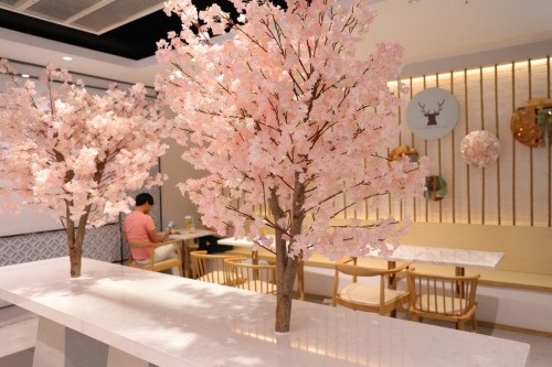 讓年輕人“上癮”的鹿角戲 做對了些什么？