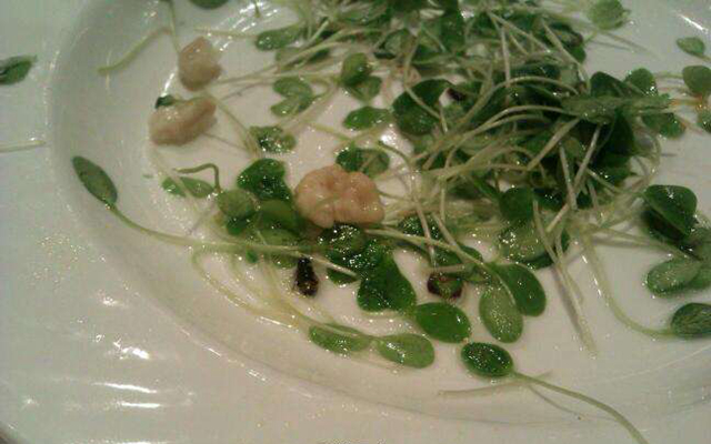 這個(gè)店長(zhǎng)真瘋狂：在客人要求下，從垃圾桶撿出蒼蠅一口吞下