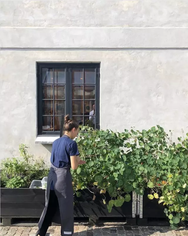 全球最佳餐廳Noma開放明年預(yù)訂，內(nèi)容是上半年的海鮮季