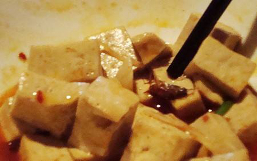 重慶一餐廳拼盤里蟑螂亂竄，食客直呼“惡心”