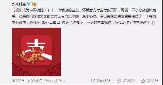 “錦鯉”火了，為什么我不建議跟風(fēng)蹭這個(gè)大熱點(diǎn)？