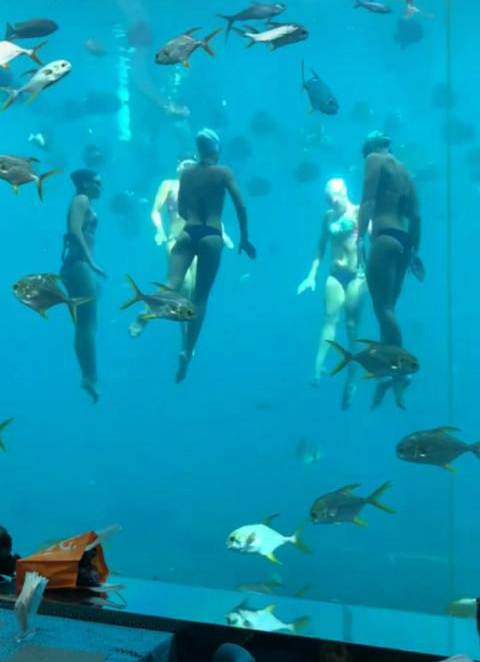 海底餐廳表演比基尼，每個(gè)餐位500元