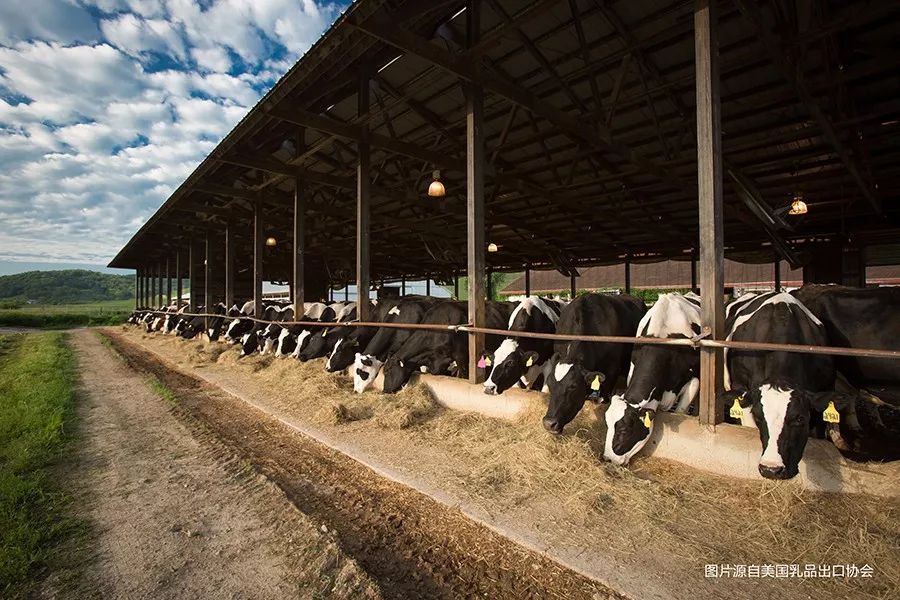 美國乳制品走向中國餐桌，將為中國市場帶來哪些影響？|餐見