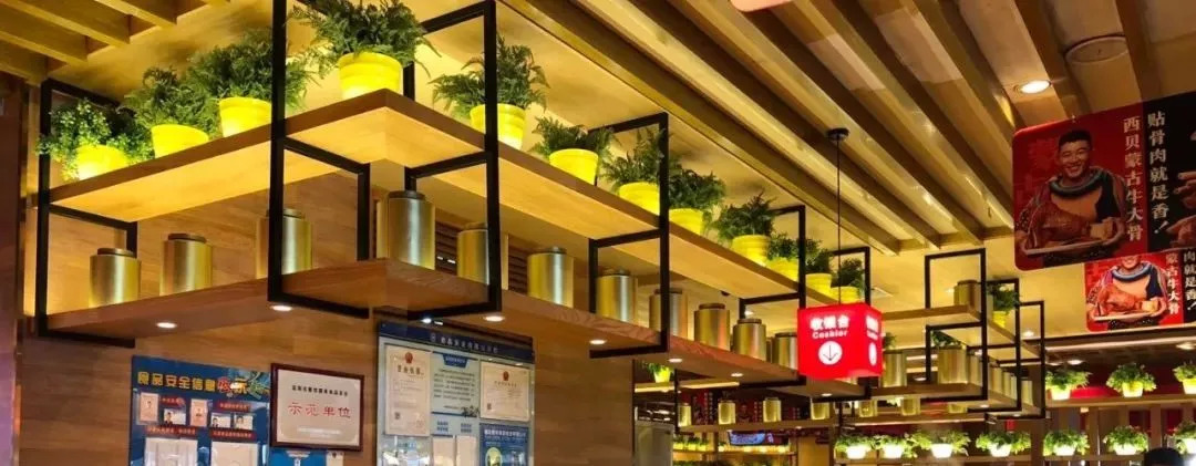 陸續(xù)復(fù)工，螞蟻保險的這款“營業(yè)中斷險”能否解決餐企“后患”？| 餐見