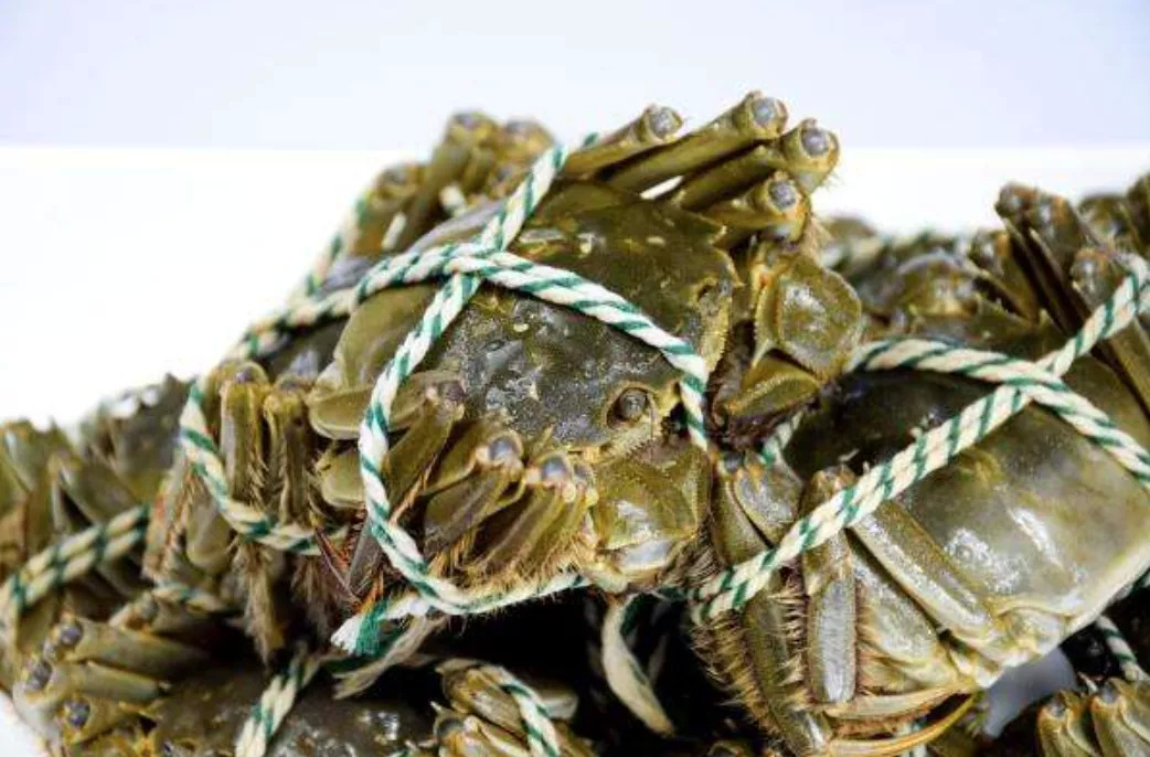 讓每一只大閘蟹鮮活抵達，順豐同城急送全力打造生鮮配送“新鏈條”