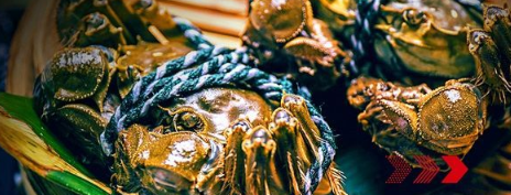 “秋風響，蟹腳癢”，順豐同城急送推出大閘蟹專送服務(wù)