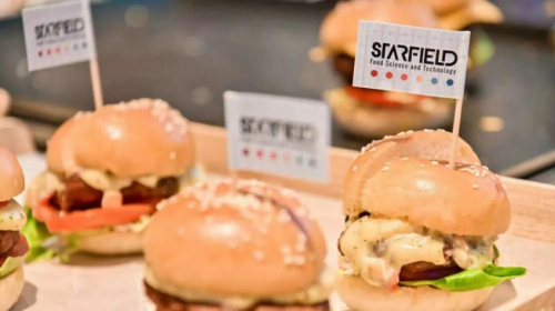 盒馬二次進軍植物肉，這次的合作方選了一個中國品牌