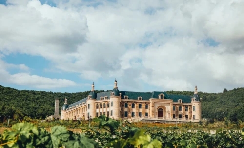 青谷酒莊，來(lái)自北緯45度的禮物