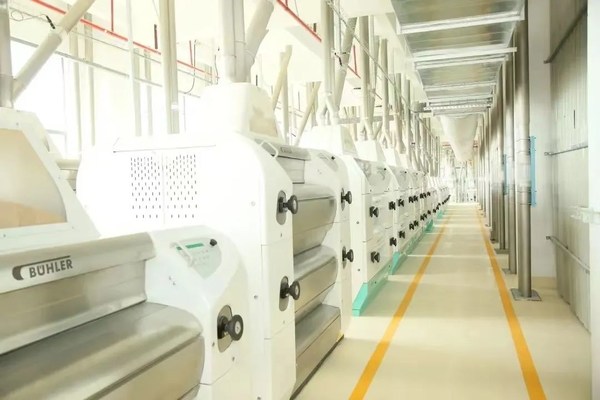 喜報(bào)：布勒榮獲2022中國糧油學(xué)會(huì)科學(xué)技術(shù)一等獎(jiǎng)