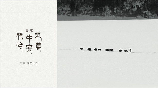 源自3500米高原牧場，喜茶西藏限定「雪域·牦牛乳恰安莫」限時全國上新