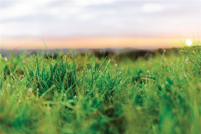 恒天然可持續(xù)行動(dòng)全回顧